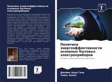 Capa do livro de Политика энергоэффективности основных бытовых электроприборов 