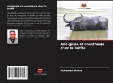 Buchcover von Analgésie et anesthésie chez le buffle