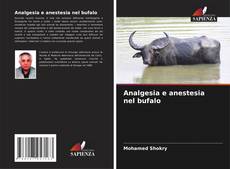 Buchcover von Analgesia e anestesia nel bufalo