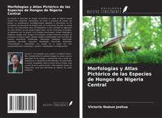 Couverture de Morfologías y Atlas Pictórico de las Especies de Hongos de Nigeria Central