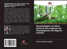 Borítókép a  Morphologies et Atlas pictural des espèces de champignons du Nigeria central - hoz