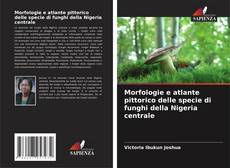 Buchcover von Morfologie e atlante pittorico delle specie di funghi della Nigeria centrale