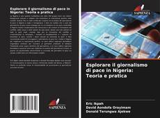 Couverture de Esplorare il giornalismo di pace in Nigeria: Teoria e pratica