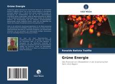 Buchcover von Grüne Energie