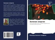 Capa do livro de Зеленая энергия 