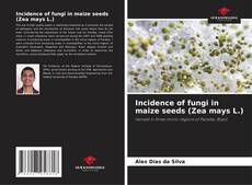 Copertina di Incidence of fungi in maize seeds (Zea mays L.)