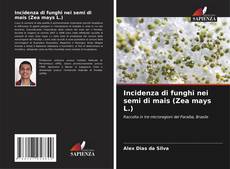 Buchcover von Incidenza di funghi nei semi di mais (Zea mays L.)