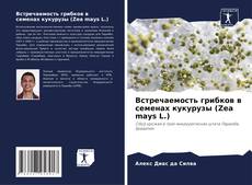 Capa do livro de Встречаемость грибков в семенах кукурузы (Zea mays L.) 