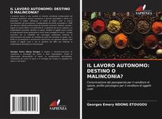 Couverture de IL LAVORO AUTONOMO: DESTINO O MALINCONIA?