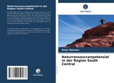 Buchcover von Naturressourcenpotenzial in der Region South Central