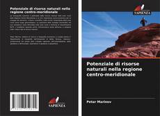 Buchcover von Potenziale di risorse naturali nella regione centro-meridionale