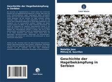 Buchcover von Geschichte der Hagelbekämpfung in Serbien