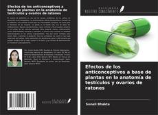 Couverture de Efectos de los anticonceptivos a base de plantas en la anatomía de testículos y ovarios de ratones