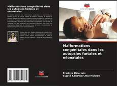 Buchcover von Malformations congénitales dans les autopsies fœtales et néonatales