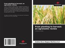 From planting to harvest: an agronomic review的封面