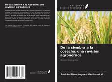 Couverture de De la siembra a la cosecha: una revisión agronómica