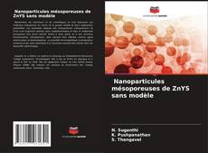 Buchcover von Nanoparticules mésoporeuses de ZnYS sans modèle