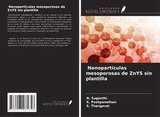 Couverture de Nanopartículas mesoporosas de ZnYS sin plantilla