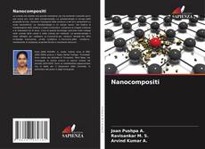 Nanocompositi kitap kapağı