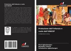 Protezione dell'infanzia e ruolo dell'UNICEF kitap kapağı