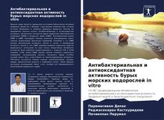 Portada del libro de Антибактериальная и антиоксидантная активность бурых морских водорослей in vitro