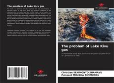 The problem of Lake Kivu gas的封面