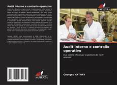 Audit interno e controllo operativo kitap kapağı