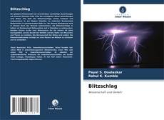 Buchcover von Blitzschlag