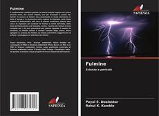 Buchcover von Fulmine