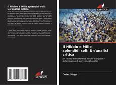 Buchcover von Il Nibbio e Mille splendidi soli: Un'analisi critica