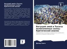 Buchcover von Бегущий змей и Тысяча великолепных солнц: Критический анализ