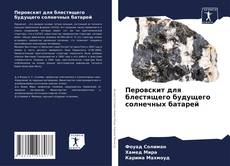 Capa do livro de Перовскит для блестящего будущего солнечных батарей 