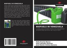 Capa do livro de BIOFUELS IN VENEZUELA 