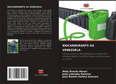 Buchcover von BIOCARBURANTS AU VENEZUELA