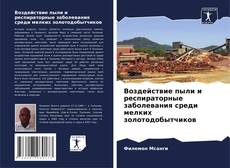 Воздействие пыли и респираторные заболевания среди мелких золотодобытчиков kitap kapağı