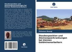 Buchcover von Staubexposition und Atemwegserkrankungen bei kleinen Goldminenarbeitern