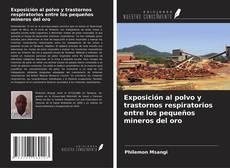 Couverture de Exposición al polvo y trastornos respiratorios entre los pequeños mineros del oro