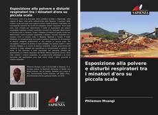 Buchcover von Esposizione alla polvere e disturbi respiratori tra i minatori d'oro su piccola scala