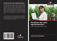 Portada del libro de Gestione dei costi agroalimentari