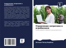 Capa do livro de Управление затратами в агробизнесе 