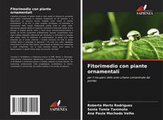 Fitorimedio con piante ornamentali kitap kapağı