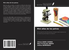 Copertina di Mini atlas de los polvos