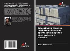 Buchcover von Calcestruzzo espanso prodotto utilizzando agenti schiumogeni a base proteica e sintetica