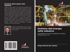 Gestione dell'energia nelle industrie kitap kapağı