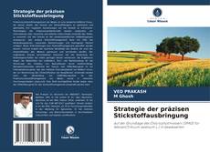 Buchcover von Strategie der präzisen Stickstoffausbringung