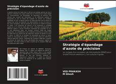 Buchcover von Stratégie d'épandage d'azote de précision