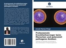 Buchcover von Protozoonale Krankheitserreger beim Menschen und potenziell pathogene Amöben