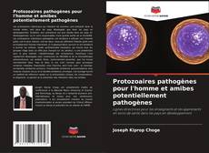 Buchcover von Protozoaires pathogènes pour l'homme et amibes potentiellement pathogènes