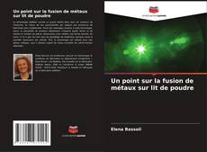 Buchcover von Un point sur la fusion de métaux sur lit de poudre