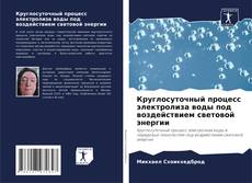 Capa do livro de Круглосуточный процесс электролиза воды под воздействием световой энергии 